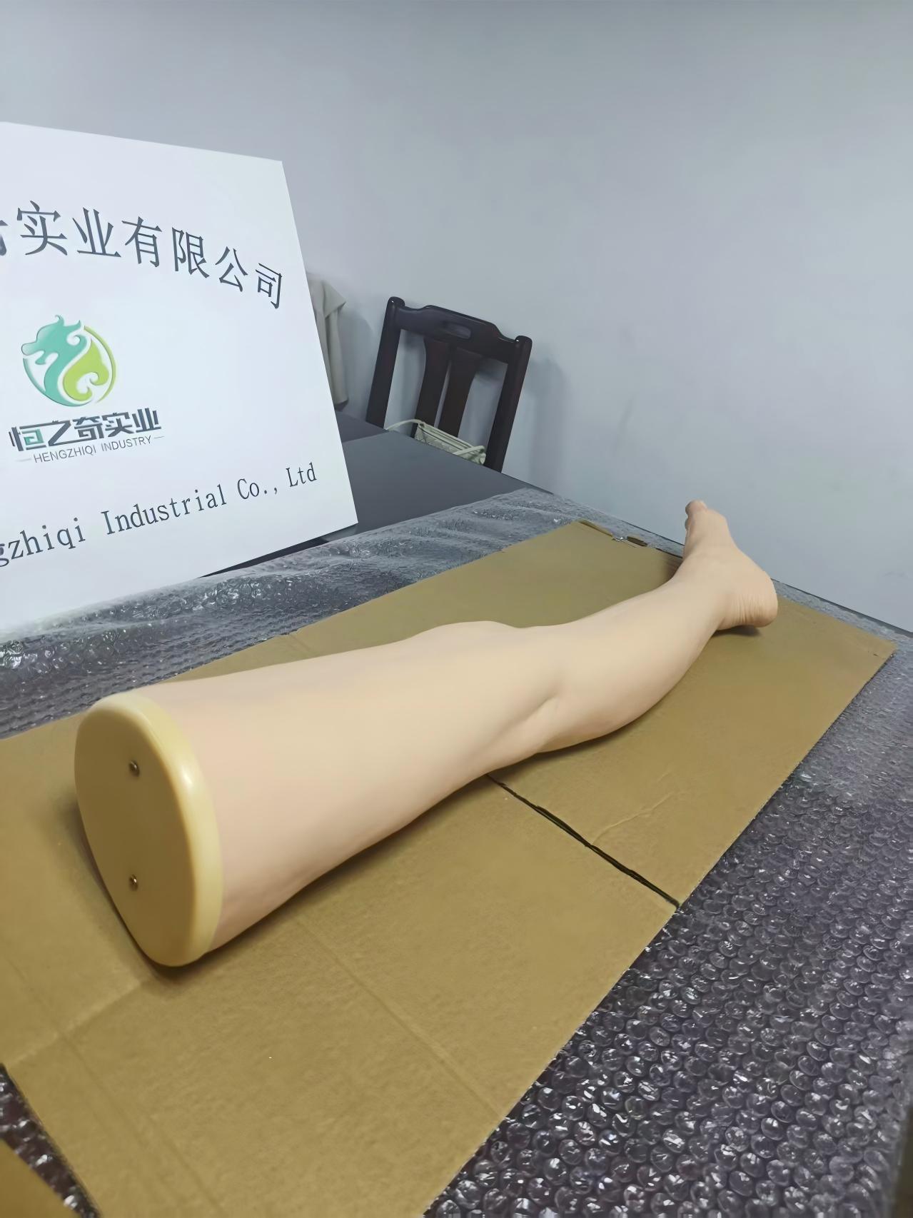 医学模型展示