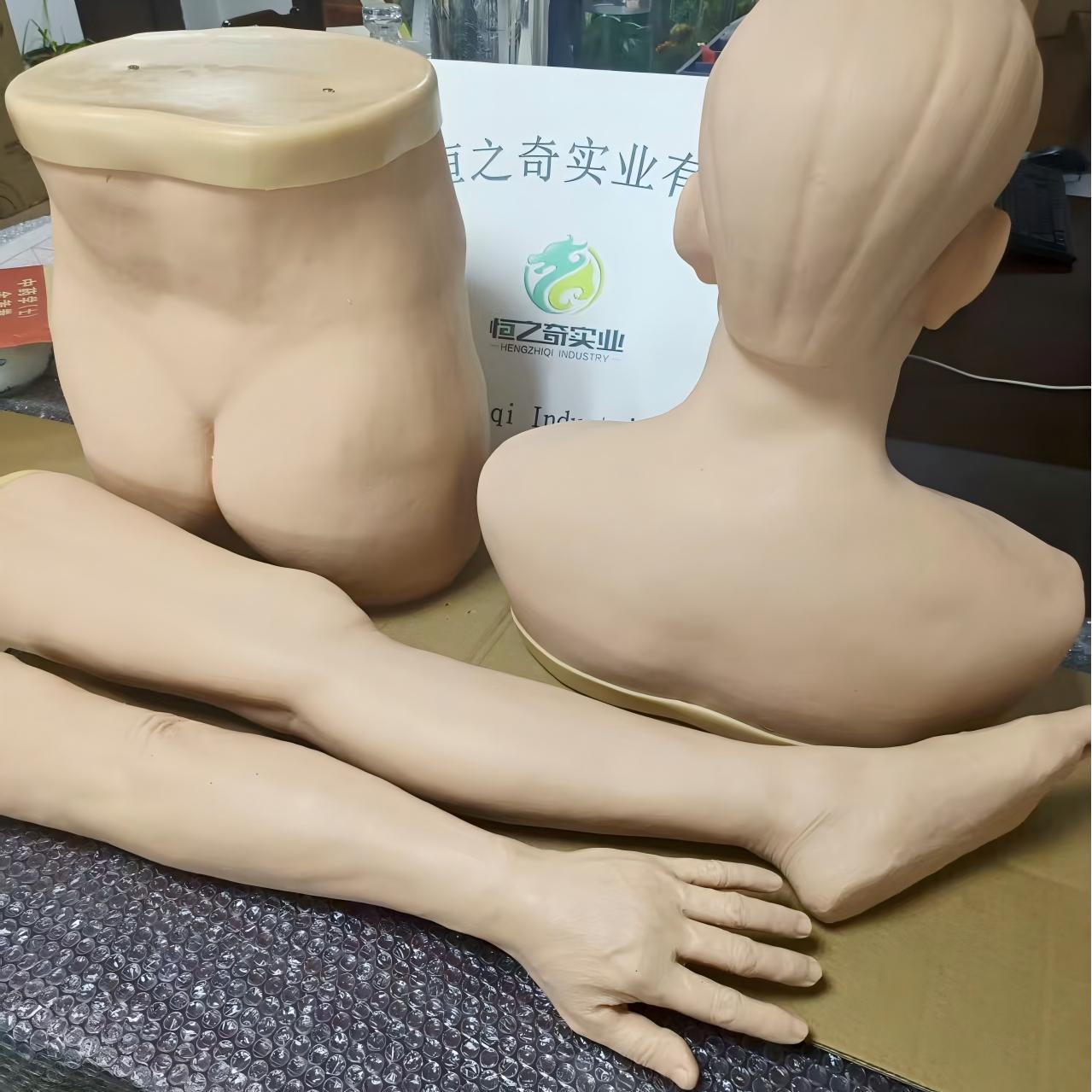 标本模型展示
