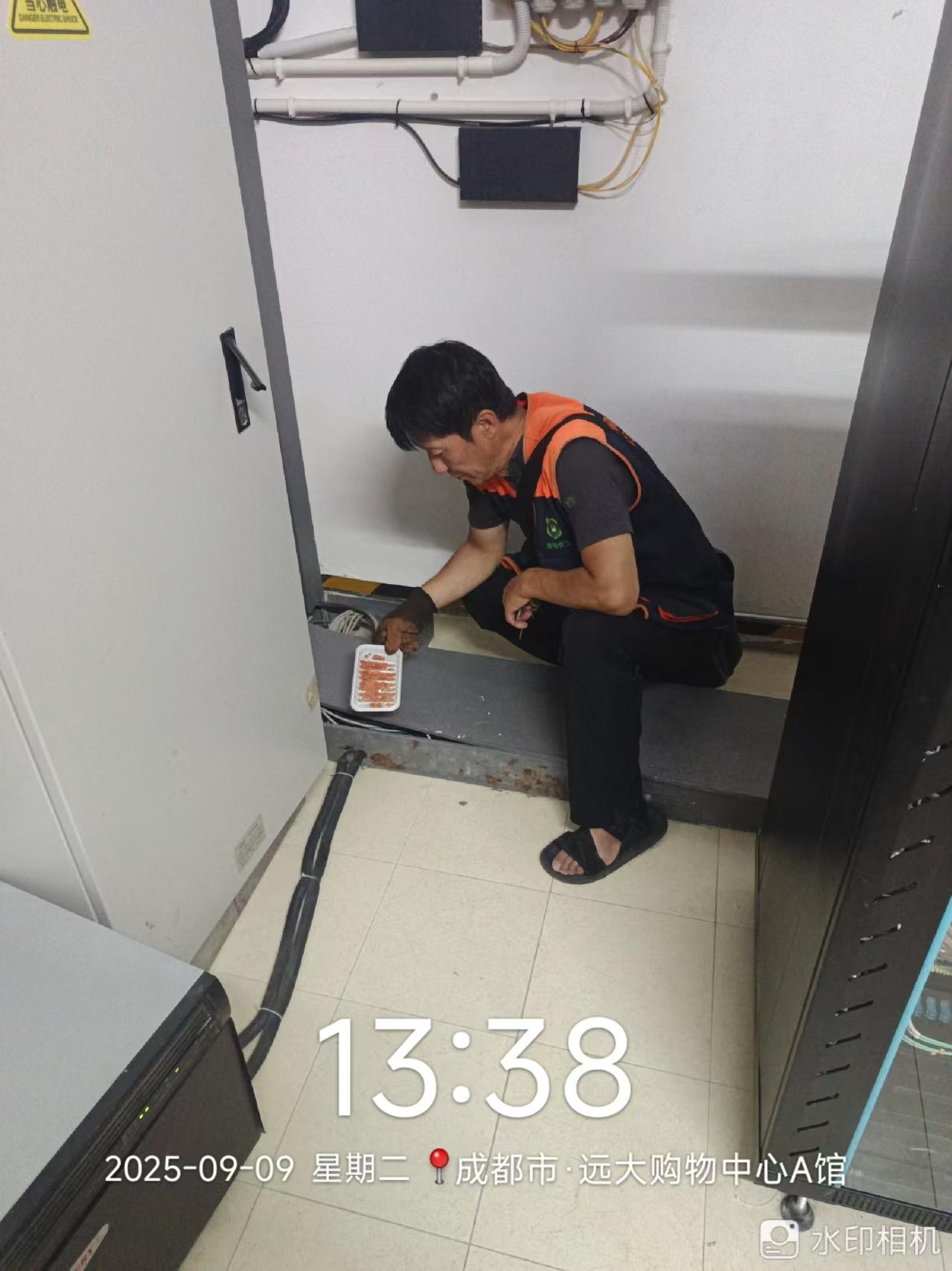 绿净爱卫环境工程服务现场