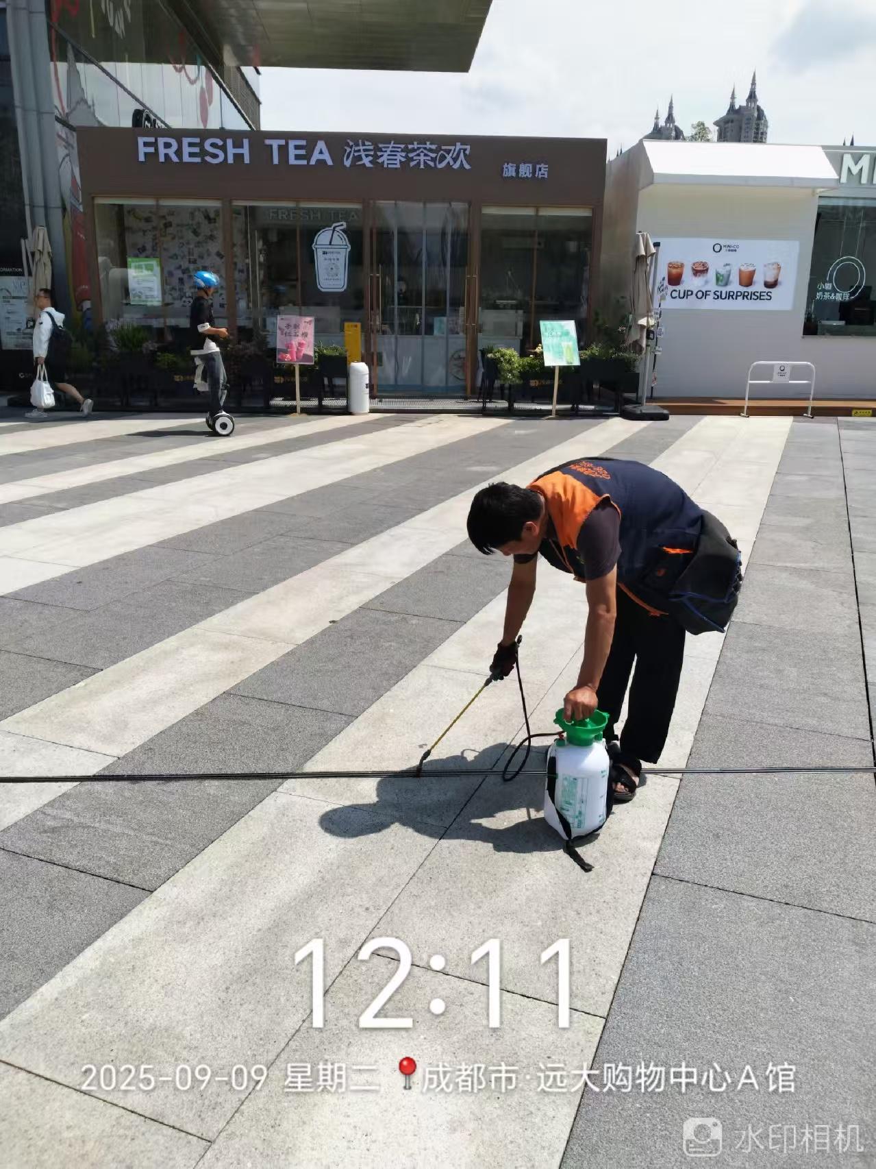 绿净爱卫杀虫灭鼠作业现场