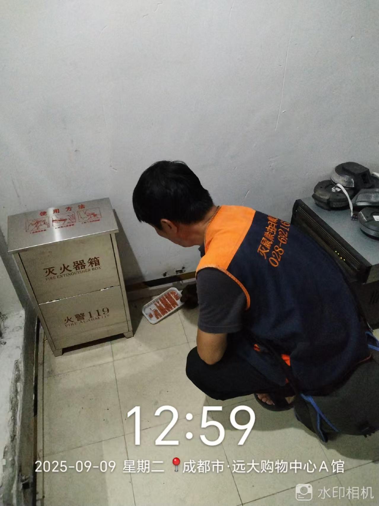 成都臭虫消杀服务