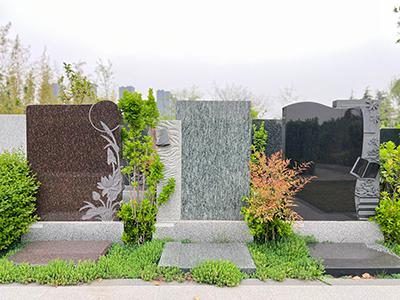 河南福寿园公益树葬活动