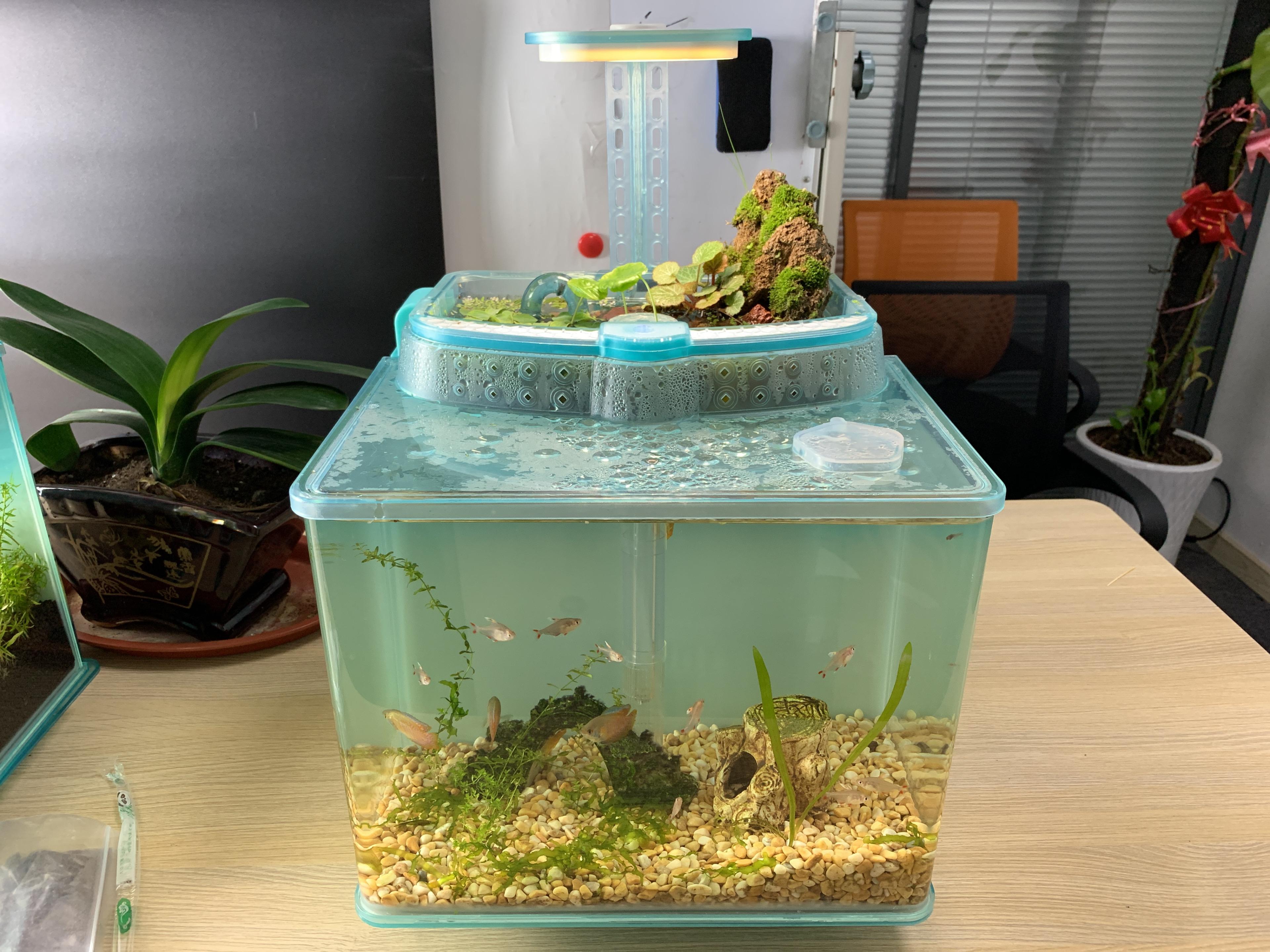 鱼缸细节图