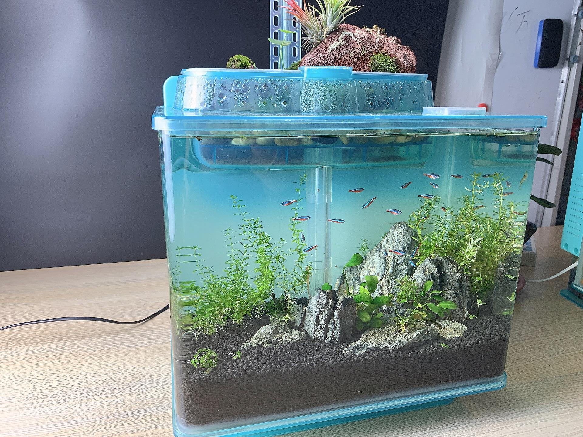 瑞纳克过滤系统展示