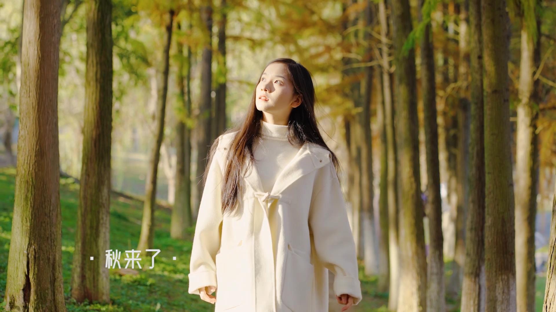 拍客教育培训场景2