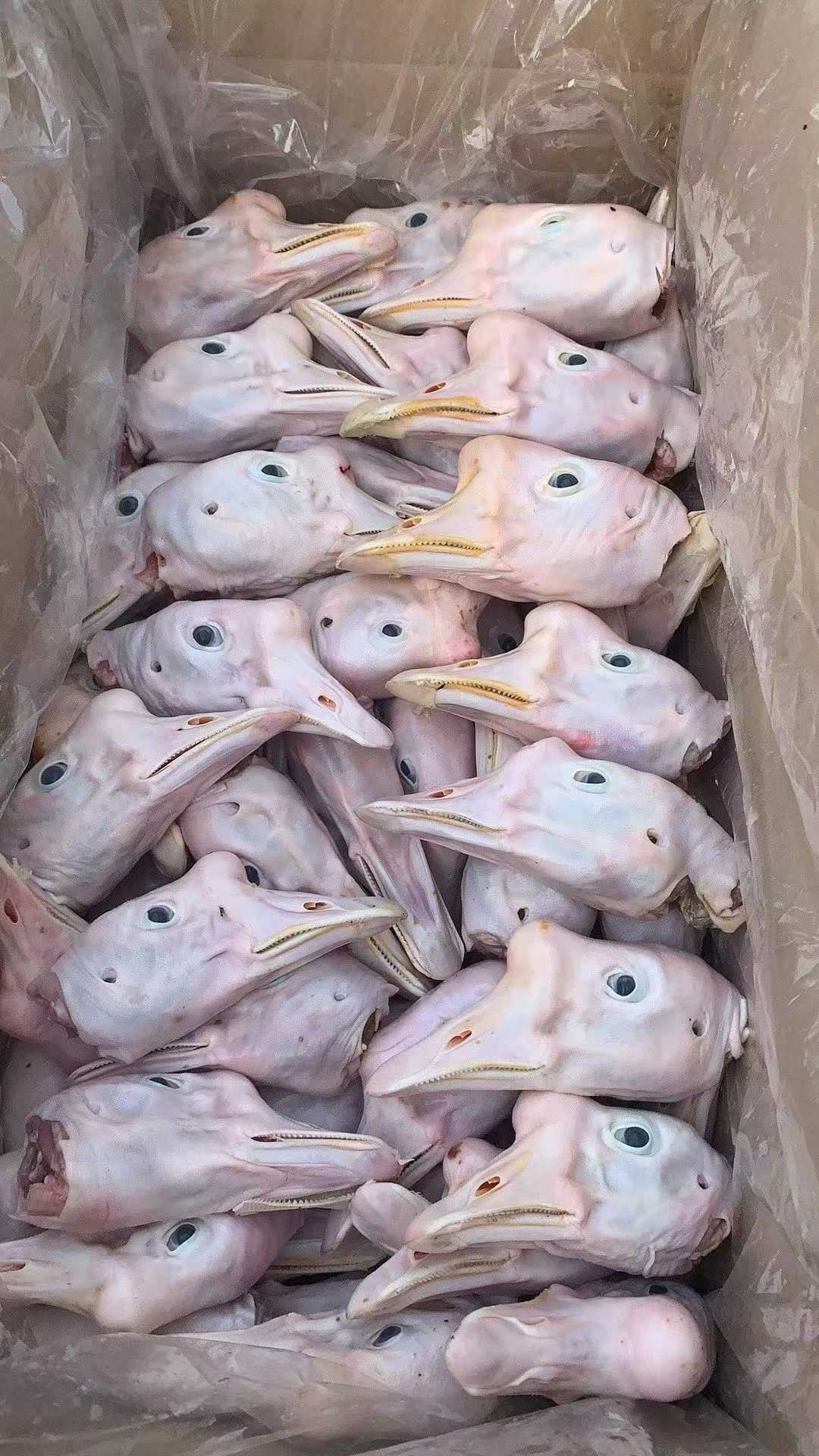 历城区汇品食品商贸中心冷链配送