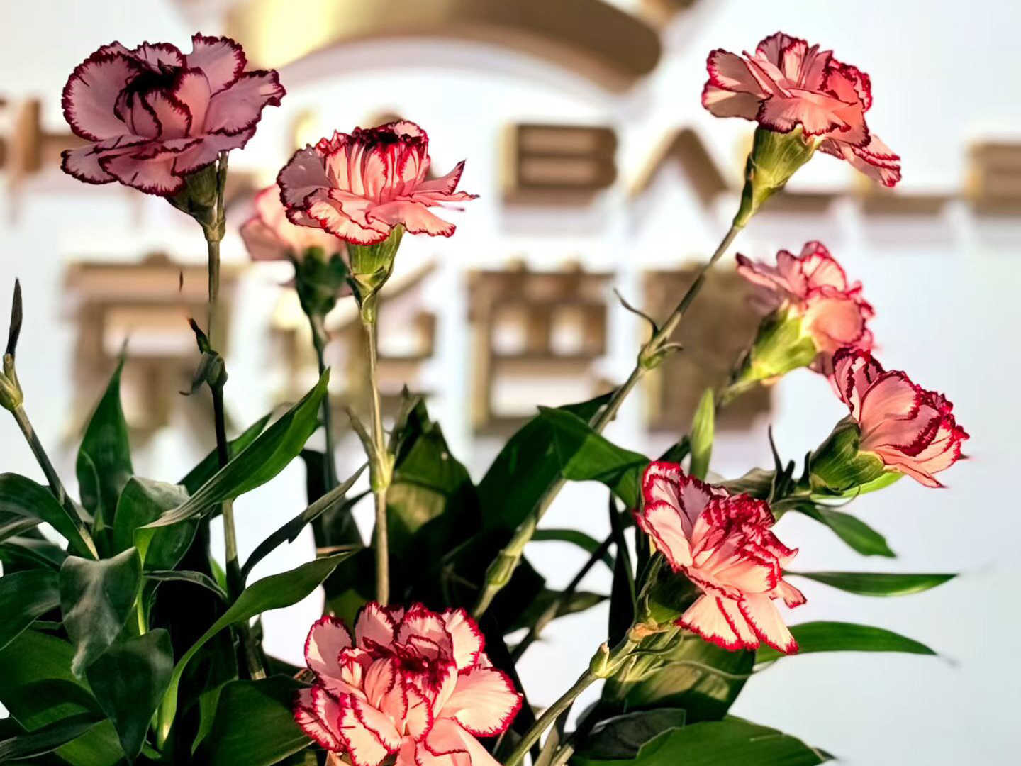 京华芭蕾课堂