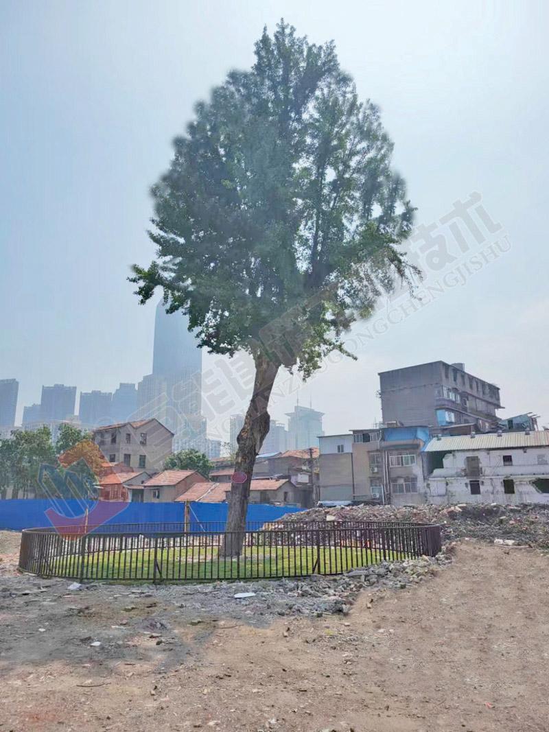 南通巨能建筑工程技术有限公司案例3