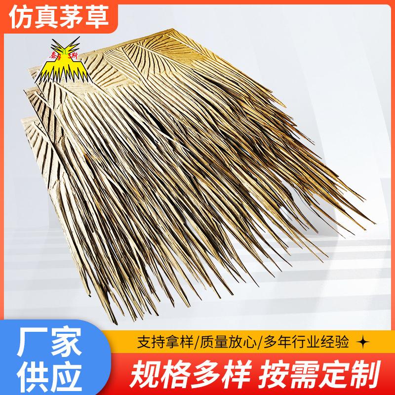 厦门泰斯科技产品图2
