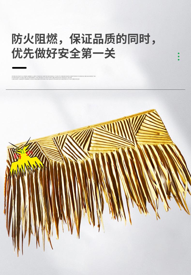 厦门泰斯科技产品图2