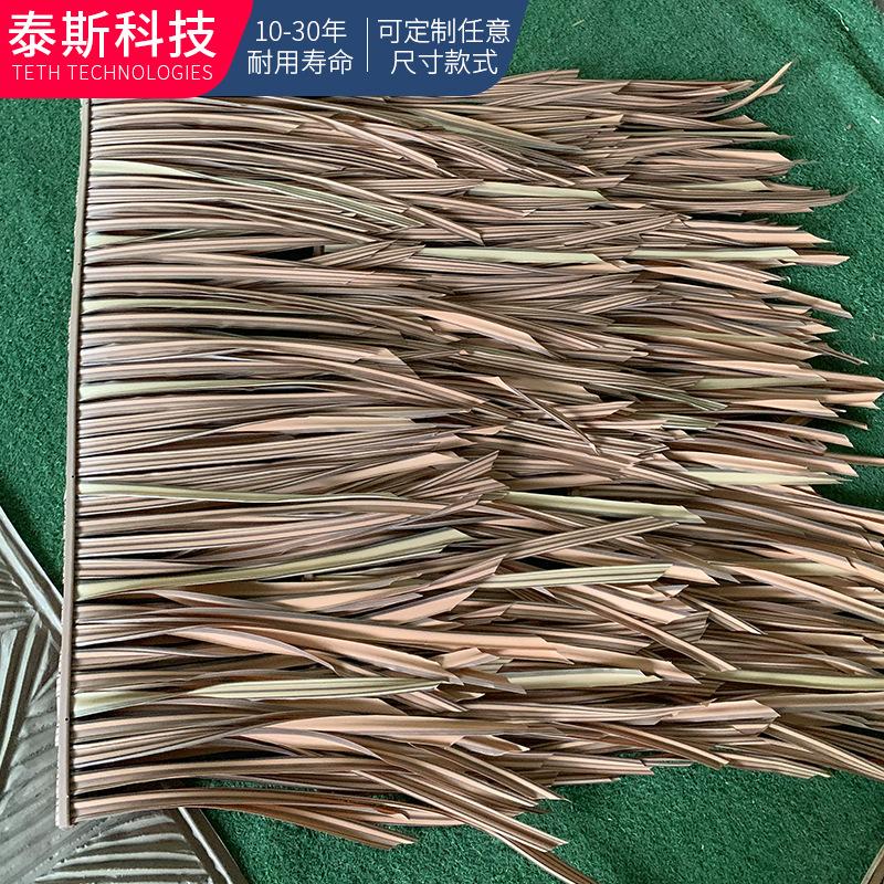 厦门泰斯科技产品图1