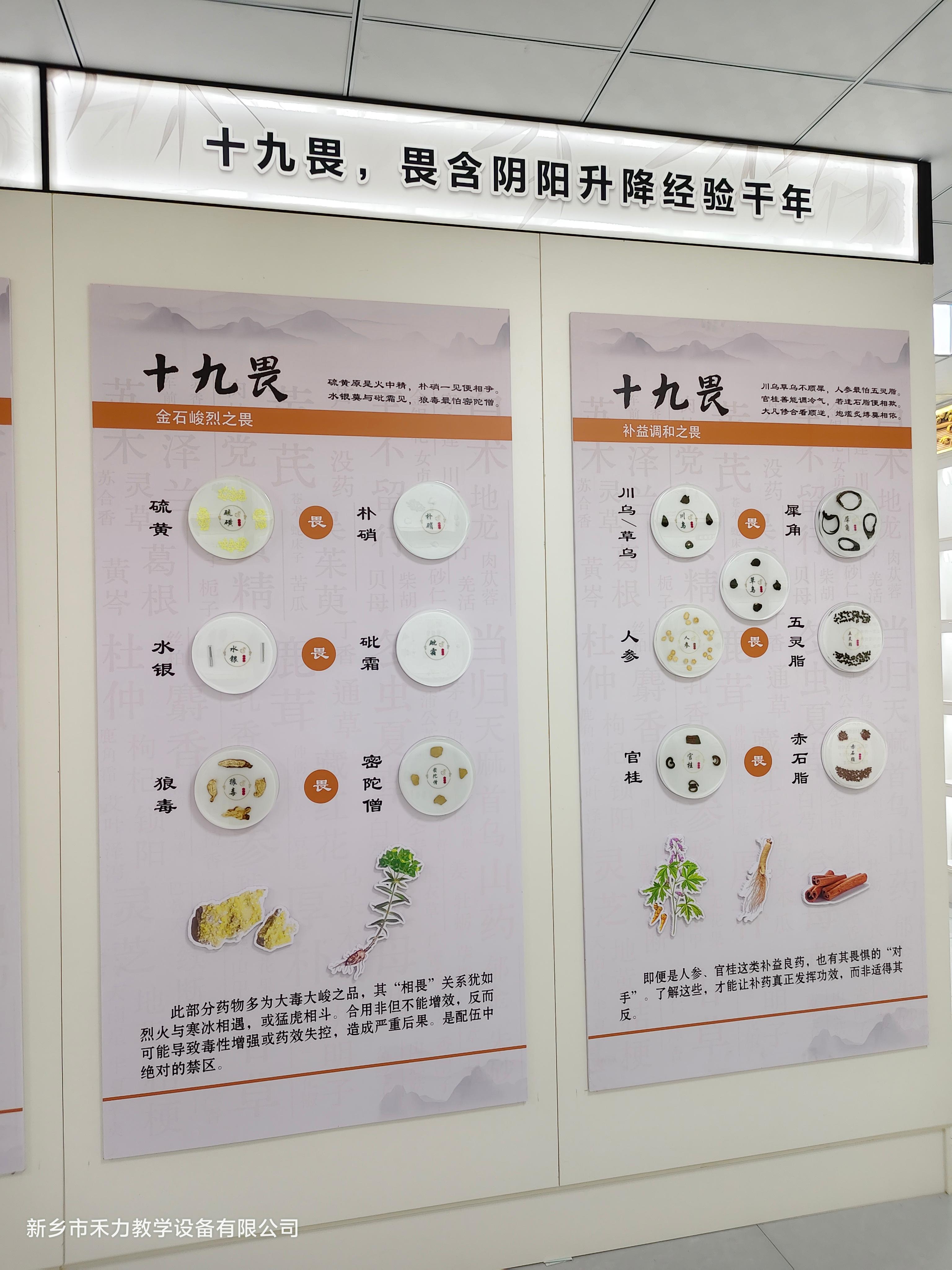 新乡禾力教学设备产品实拍3