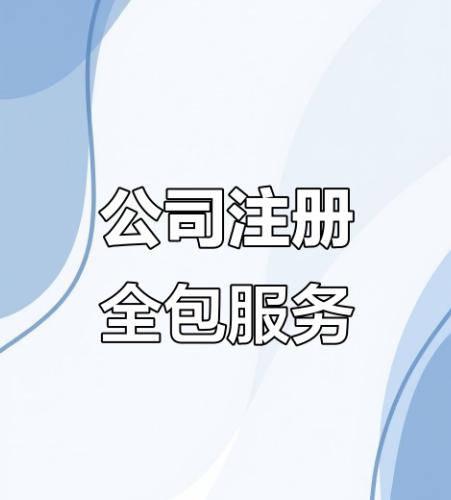 蚂蚁智企代理记账服务