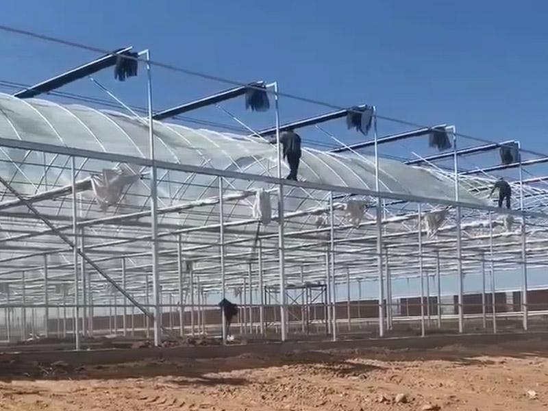 沃恩特温室大棚