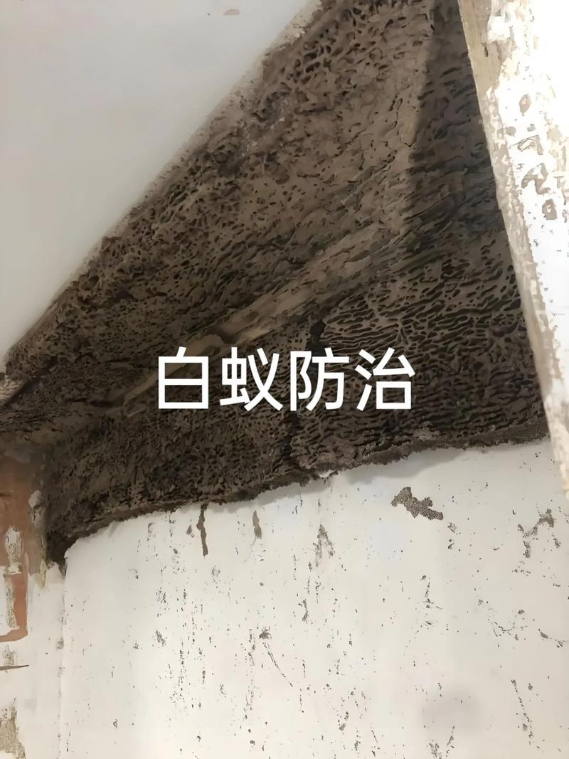 福建猫头鹰环保服务有限公司