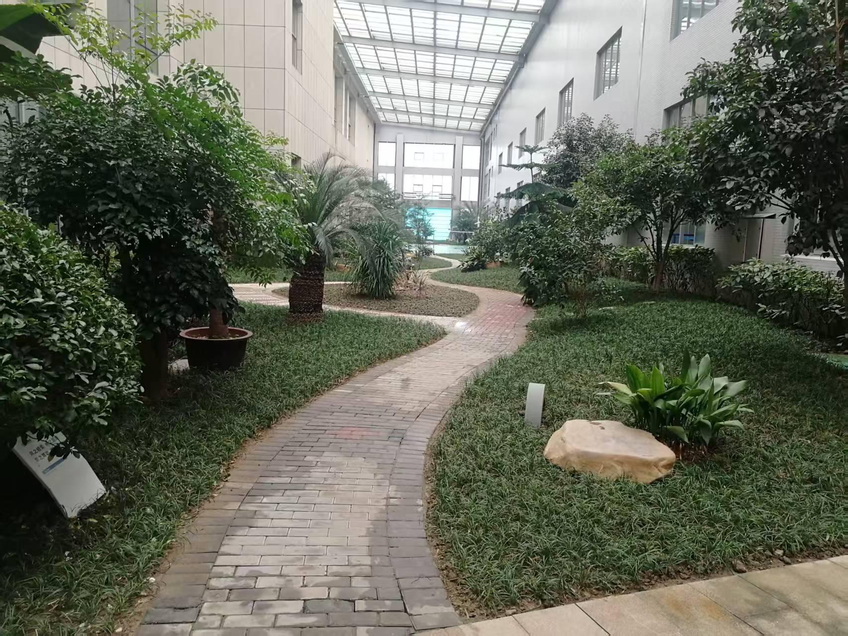 苗木基地一角