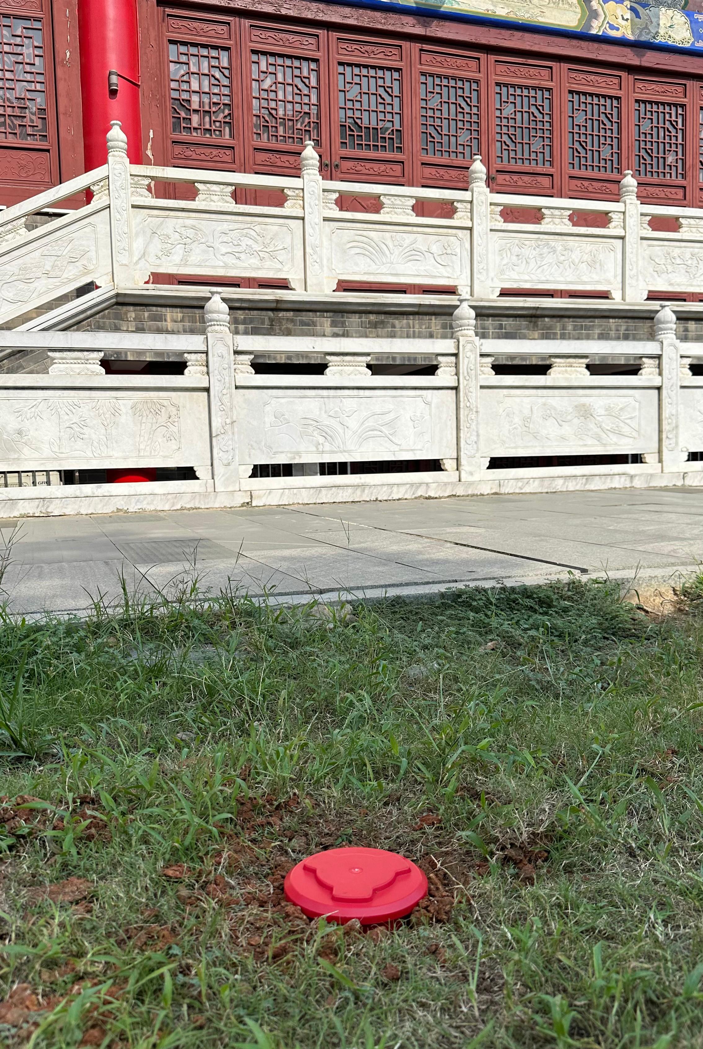 智能白蚁监测装置