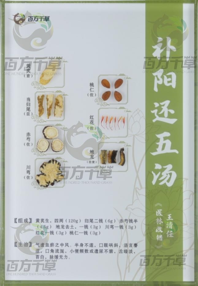 骨标本