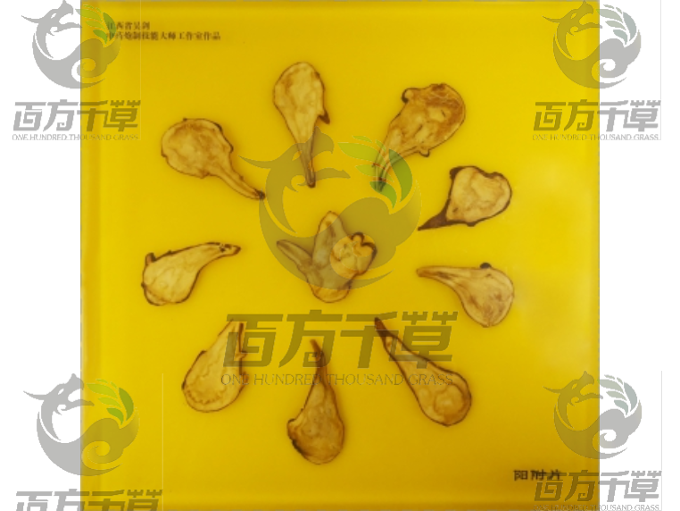 昆虫标本