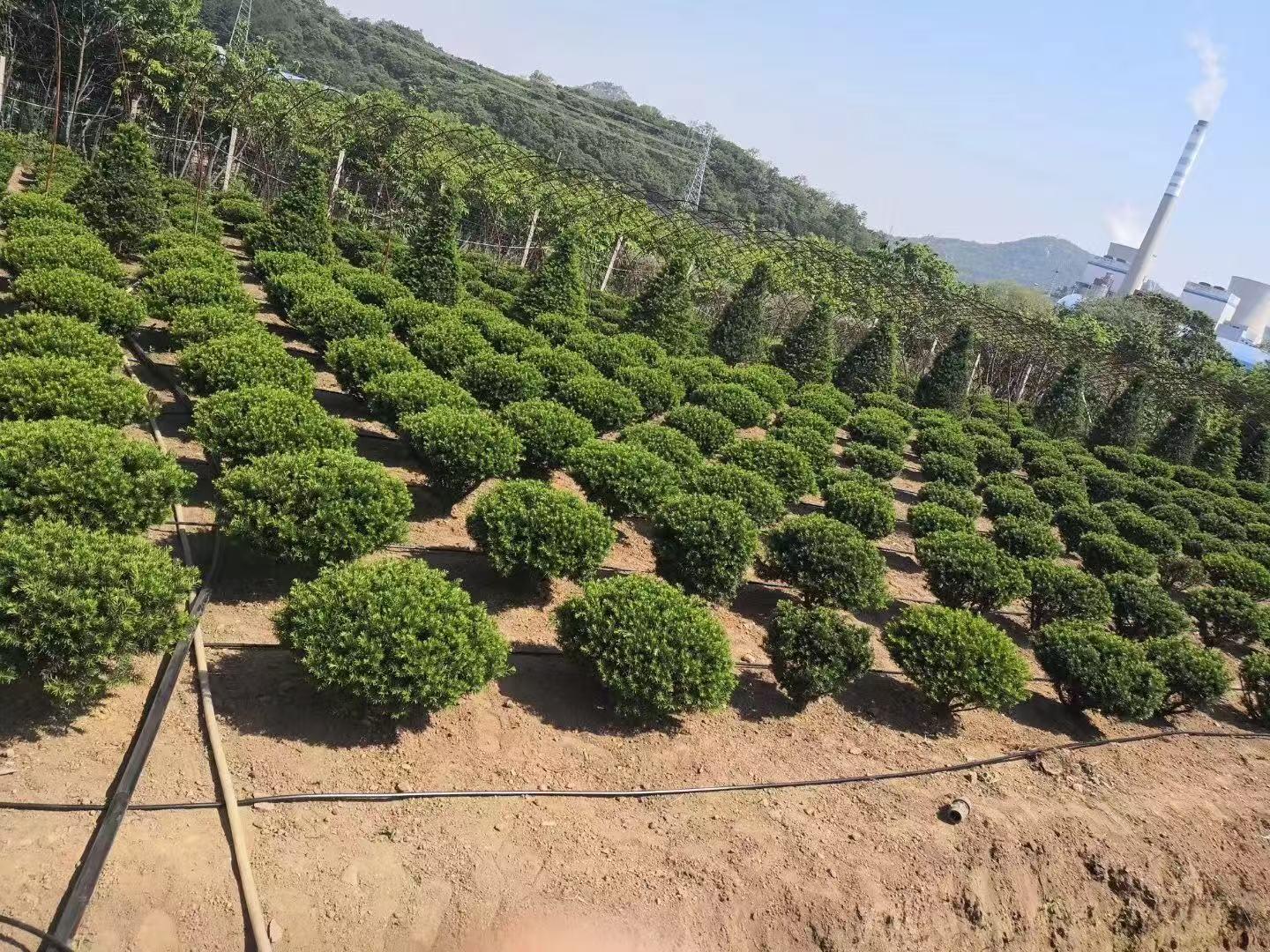 山东豪悦灌溉系统