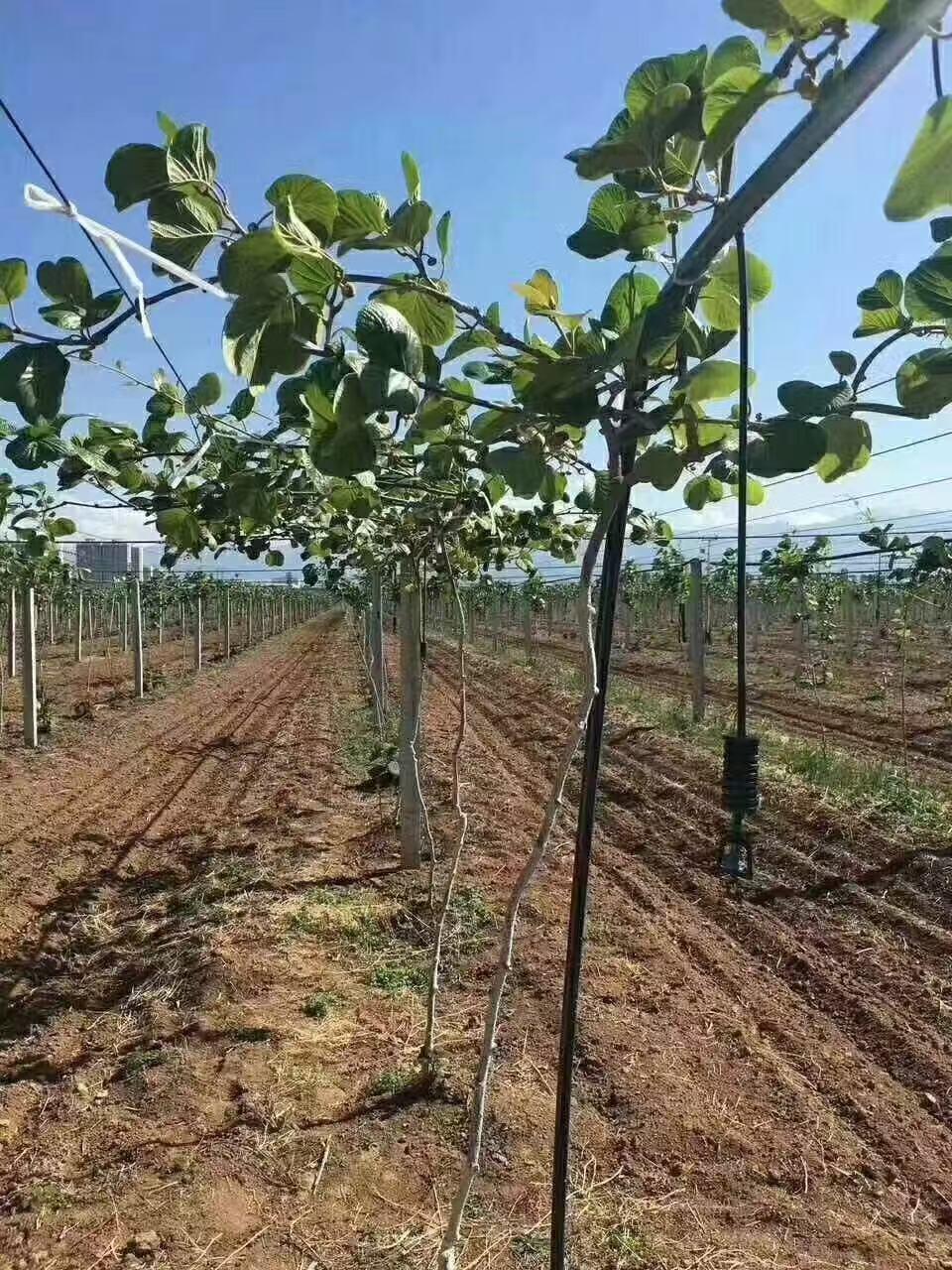 山东豪悦节水灌溉设备展示