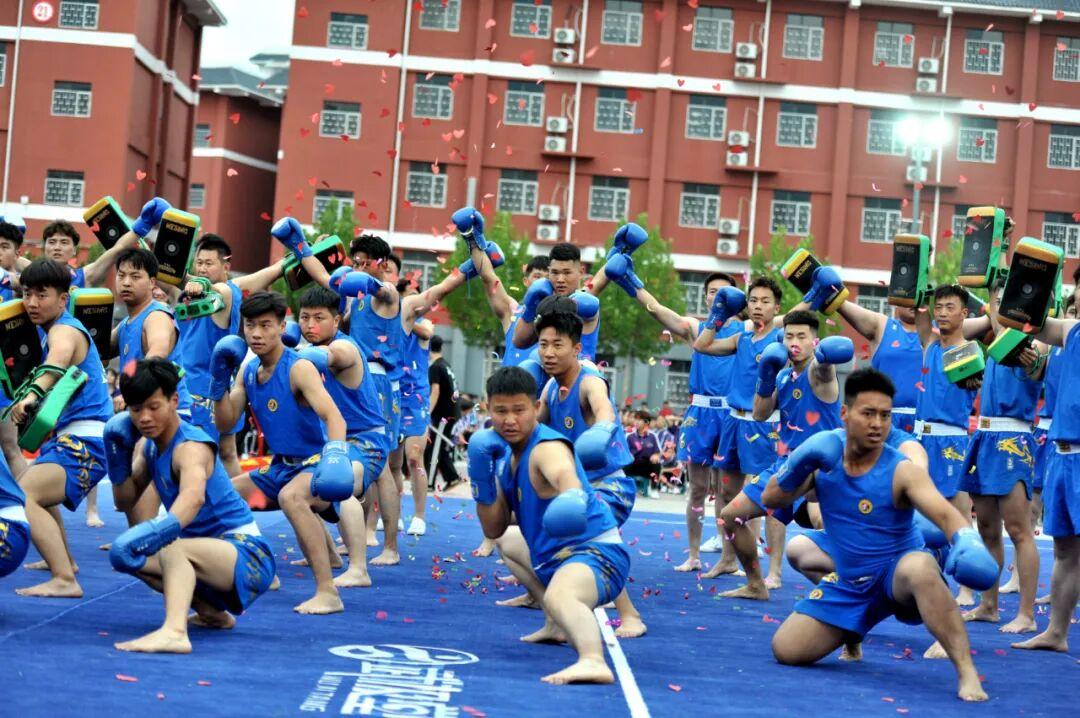 登封市少林小龙武术学校荣誉展示