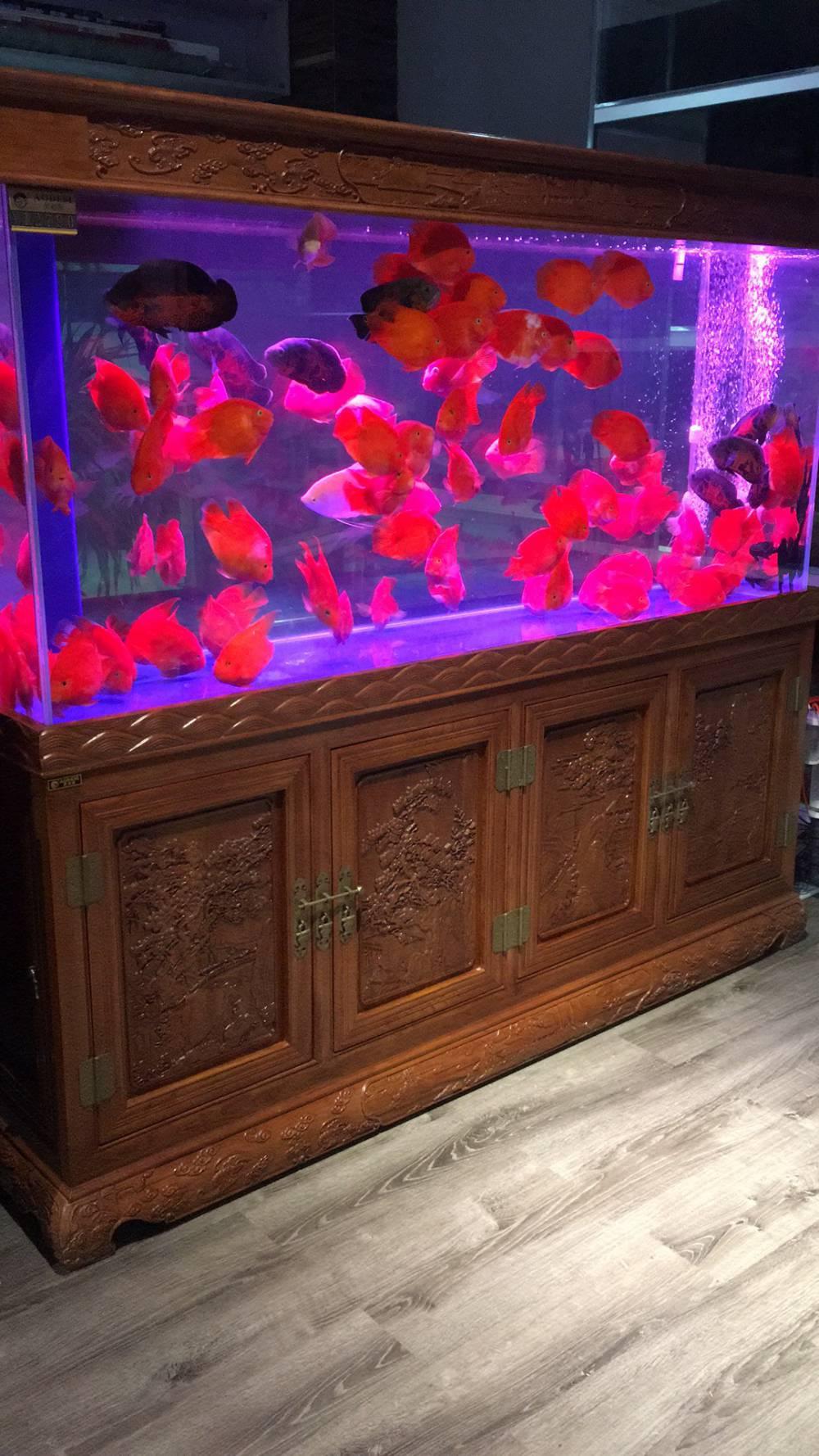 西安秦海水景工程有限公司实木鱼缸展示1