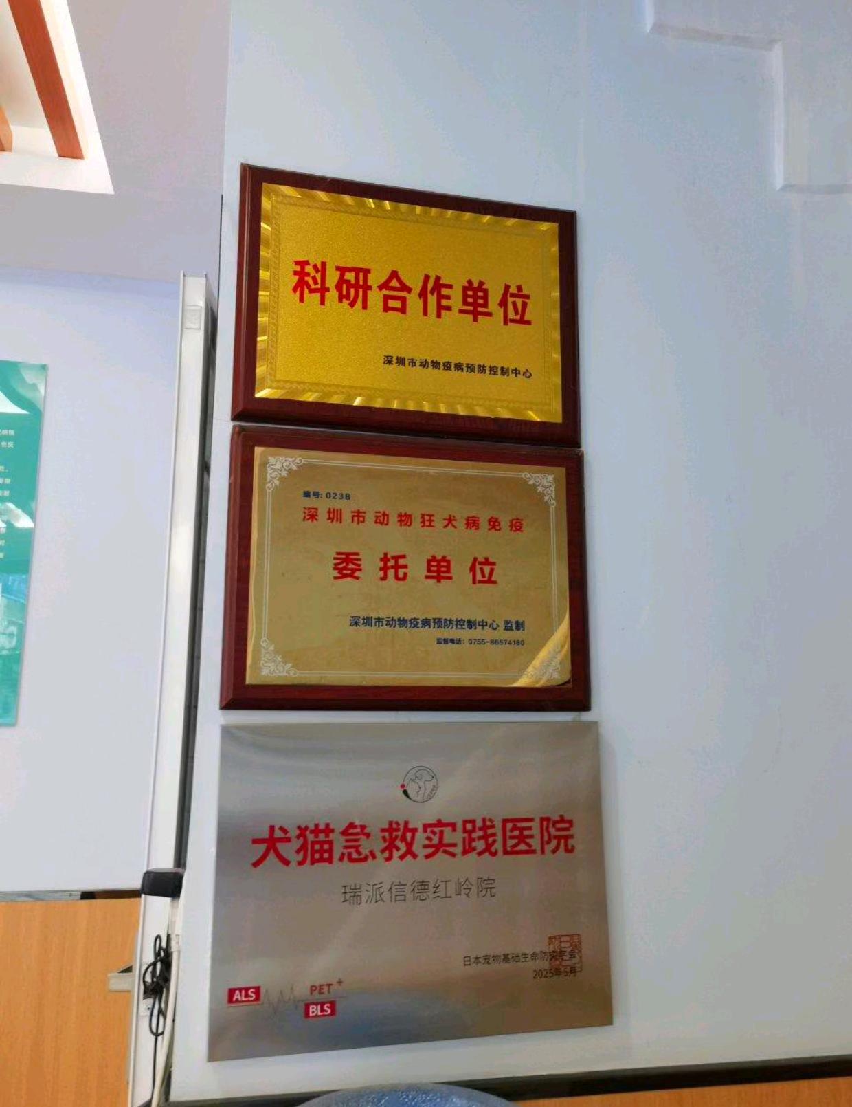 宠物医疗团队