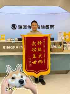 武汉宠物医院优选：瑞派伟伟融科猫专科/骨科转诊中心