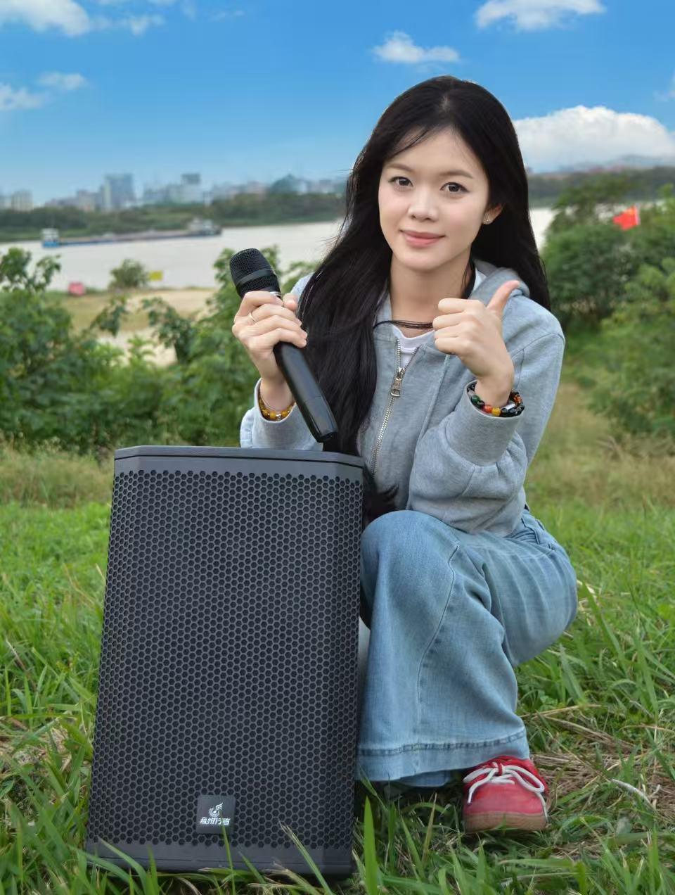 佛山瑞聆臻音电子专业低音炮企业设备