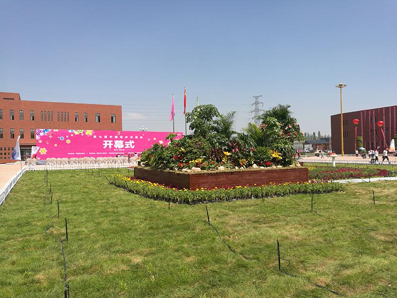 开封菊花展设计案例