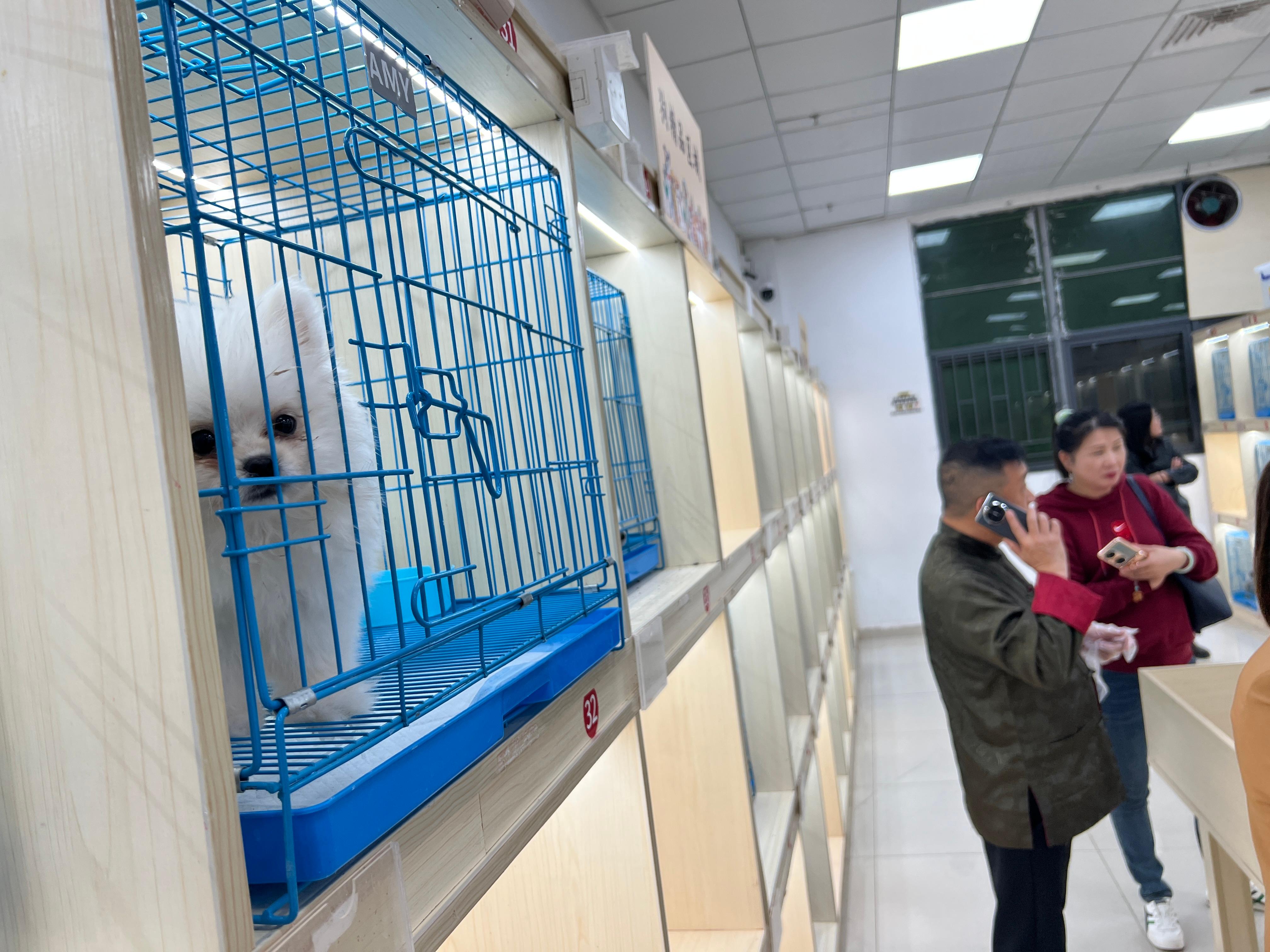 深圳实体门店实拍