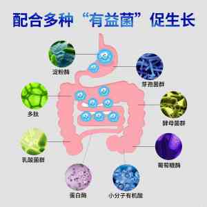 水产微生态制剂源头厂家推荐:石家庄底改净水菌与太原丁酸梭菌制剂定制