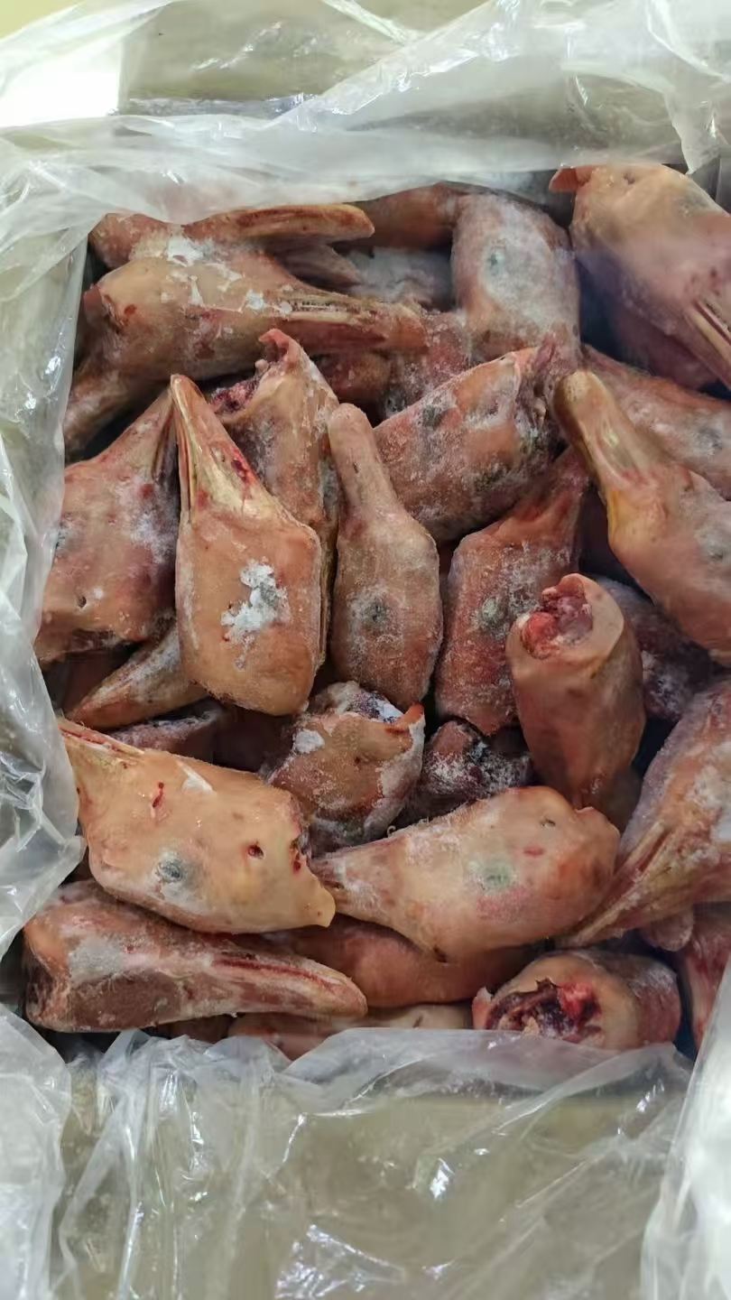 鹅头肉直销厂家
