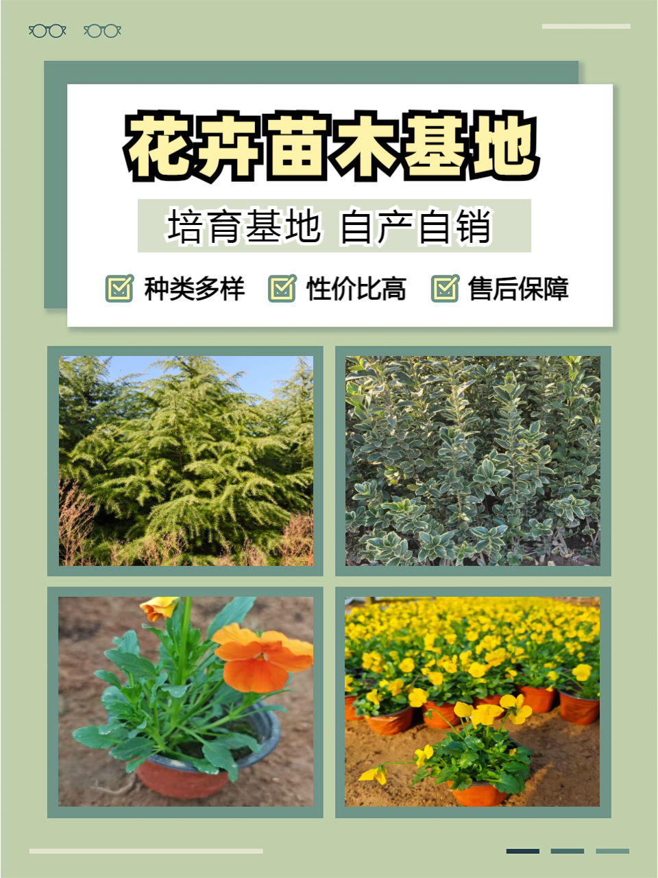 花卉苗木展示