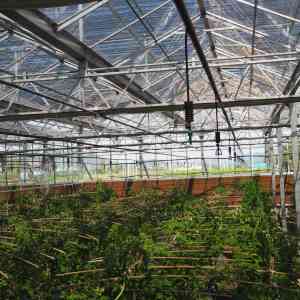 余姚喷头厂家推荐：节水灌溉/降尘/施肥/消毒/驱蚊喷头