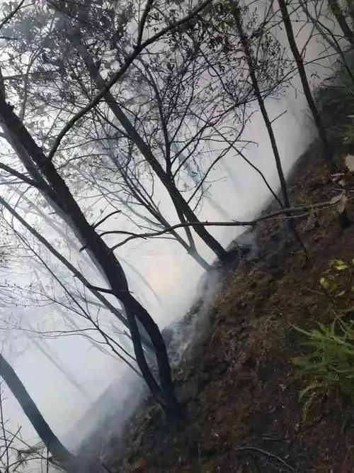 火灾鉴定设备