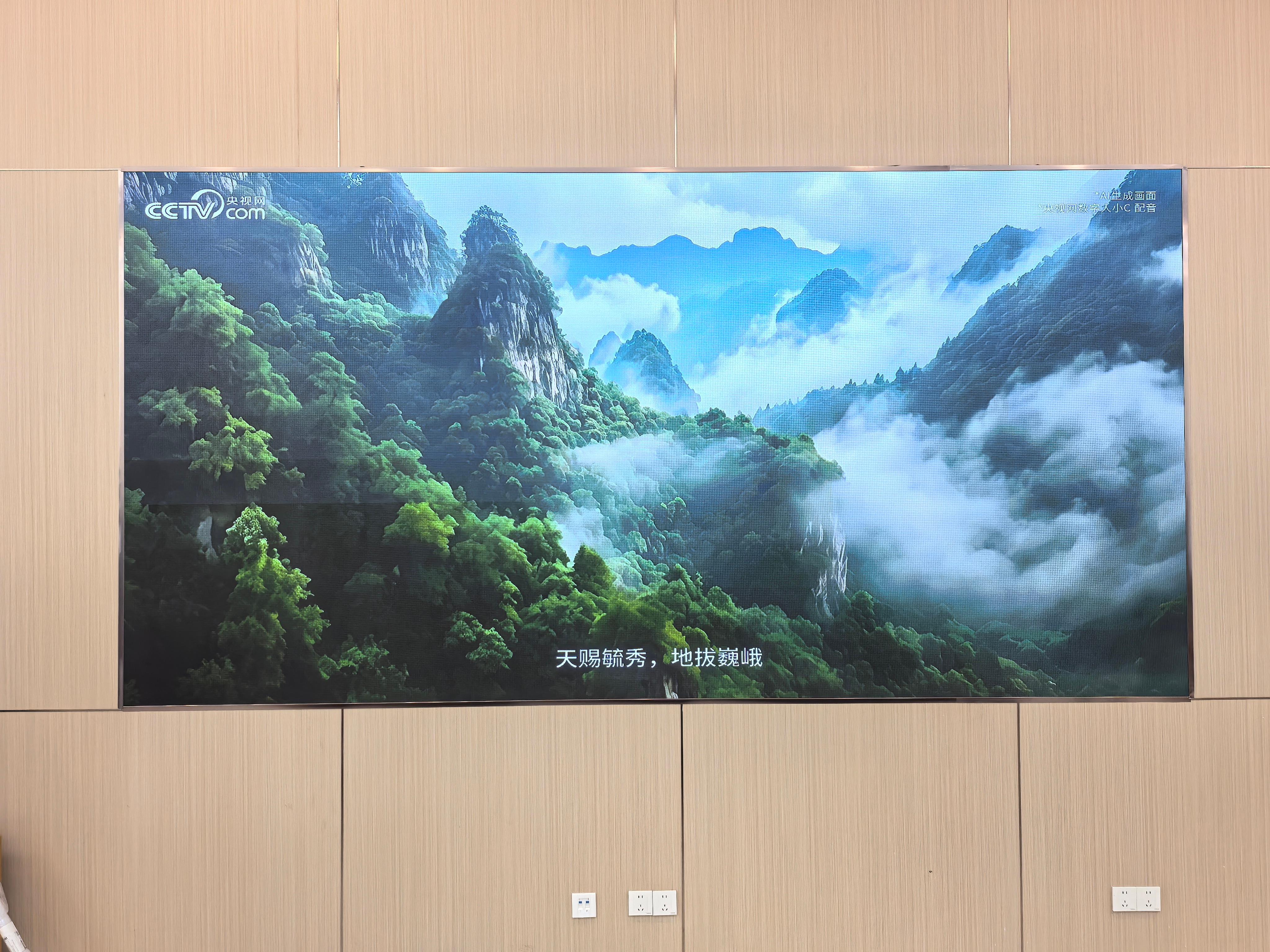 广州诚芯光电科技