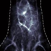 上海数联生物科技团队图