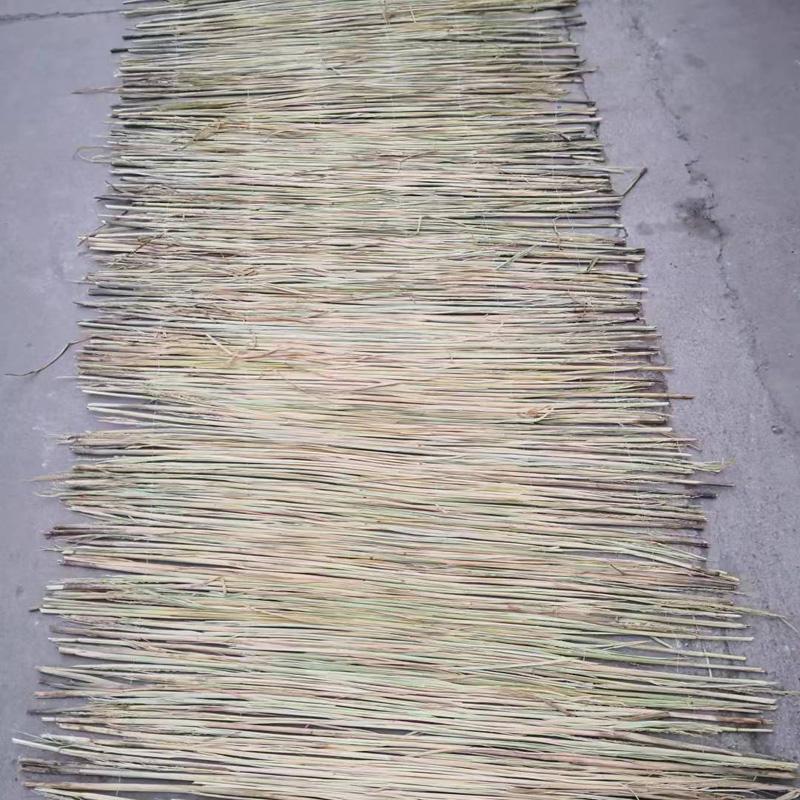 济宁茂源绿化草制品有限公司产品图2