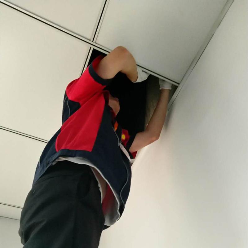 苏州市安新控虫服务有限公司