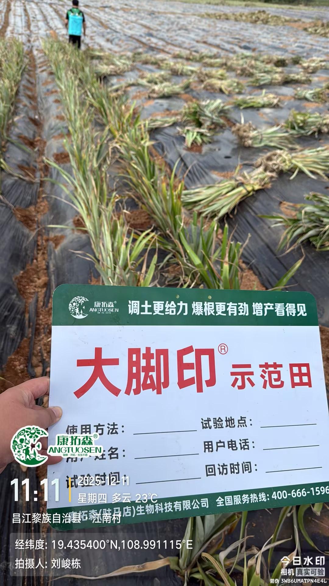 康拓森产品应用
