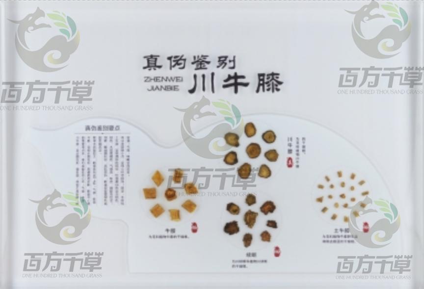 企业图片3