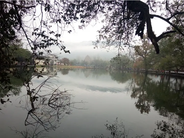 齐鲁大地旅行社服务场景