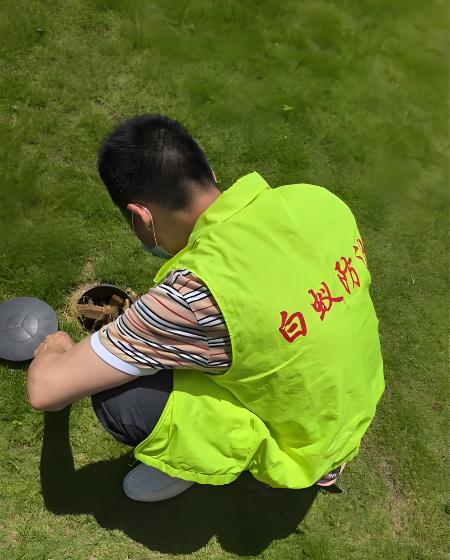 苏州除虫服务总部资质展示