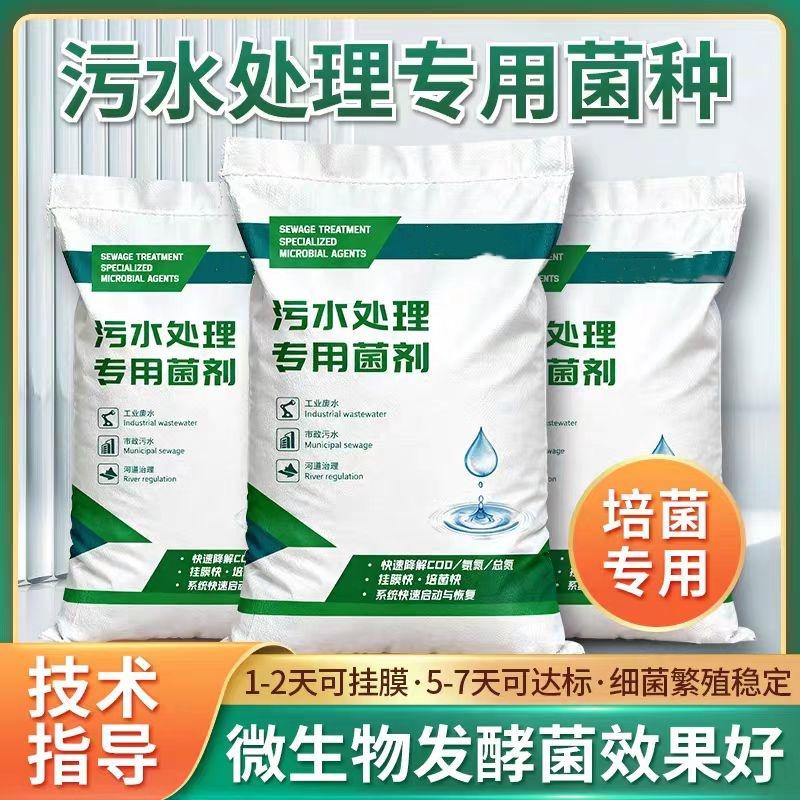 菌种产品