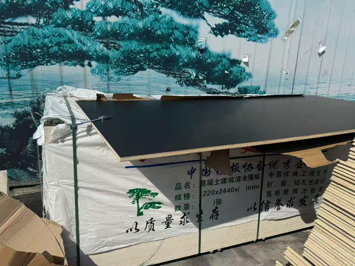 建筑模板示例3