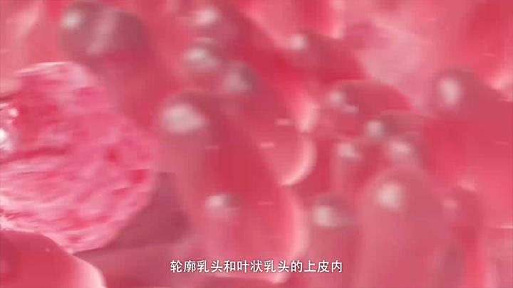 三维动画制作示例2