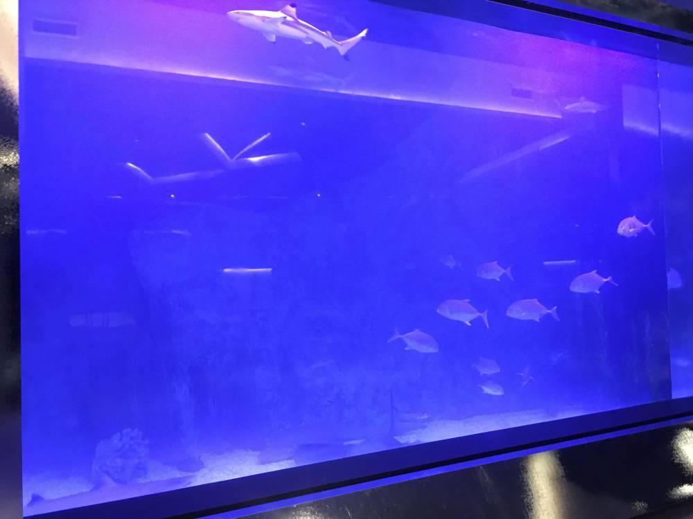 海水鱼缸过滤系统