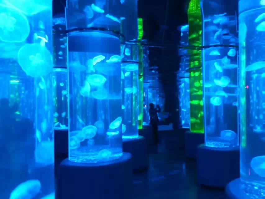 西安秦海水景工程有限公司产品示例1